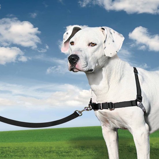 PetSafe Easy Walk® - Hondentuigje - Zwart - L - 66-91 cm