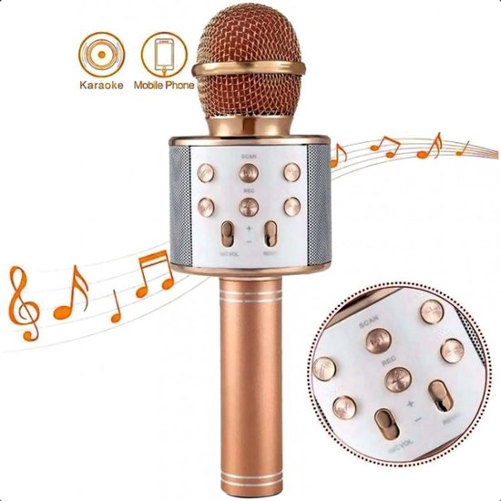 Haut-parleur Bluetooth karaoké vintage microphone sans fil