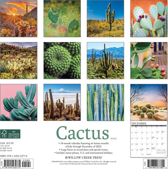 Cactus en fleurs - calendrier mural 2024