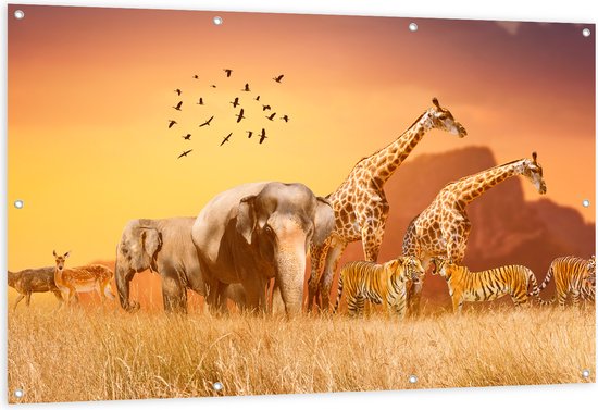 Tuinposter – De Dieren van het Afrikaanse Landschap - 150x100 cm Foto op Tuinposter (wanddecoratie voor buiten en binnen)