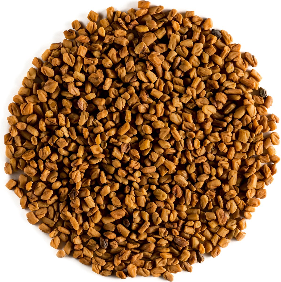 Fenegriek Zaad Bio Kwaliteitszaden Fenugreek - Culinaire Kwaliteits Zaden - 700 gram