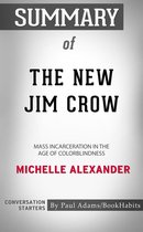 Summary of The New Jim Crow