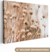 Tableau sur toile Fleurs séchées - Beige - Fleurs - Nature - 90x60 cm - Décoration murale