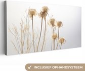 Canvas Schilderij Droogbloemen - Natuur - Botanisch - 40x20 cm - Wanddecoratie