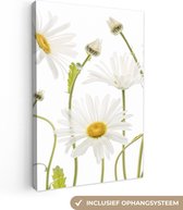 Canvas schilderij - Canvasdoek - Bloemen - Madelief - Wit - Geel - Planten - Wanddecoratie - 40x60 cm - Foto op canvas