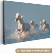 Canvas schilderij - Paard - Zee - Dieren - Wit - Foto op canvas - Canvas doek - 60x40 cm - Schilderijen op canvas
