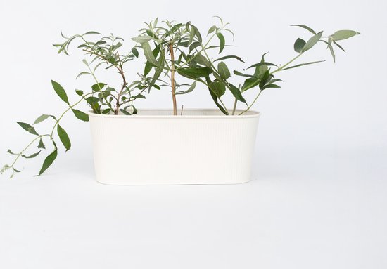 Groene takken met bladeren in een witte rechthoekige pot.