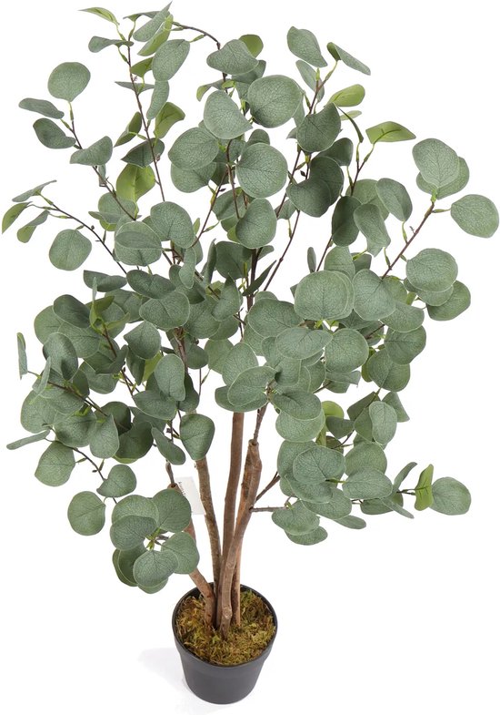Art Eucalyptus Koala | 120cm - Faux eucalyptus - Plantes artificielles pour l'intérieur - Plante d'eucalyptus artificielle
