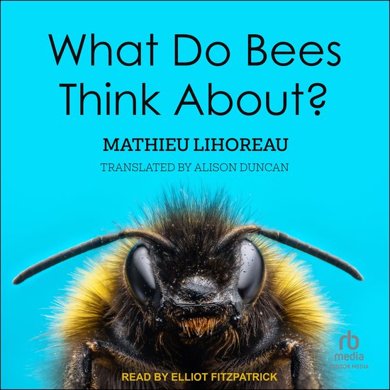 What Do Bees Think About? - cover