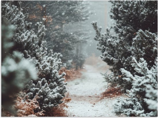 Poster 40x30 cm - Bos - Winter - Bomen - Natuur - Pad - Sneeuw - Posters - Kamer decoratie - Wanddecoratie woonkamer - Muurdecoratie slaapkamer