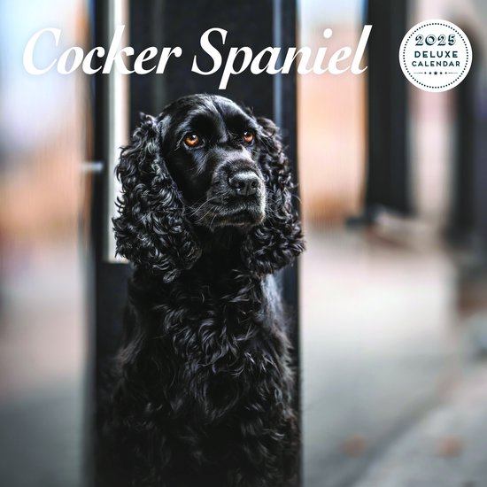 Engelse Cocker Spaniel Kalender 2026: Mooi en Stijlvol Engelse Cocker Spaniel Kalender 2026: Mooi en Stijlvol