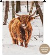 Highlander écossais, Hiver