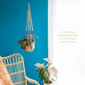 Macramé plantenhanger met gestreepte planten hangt voor een blauwe muur. Naast een rotan stoel en een plant.