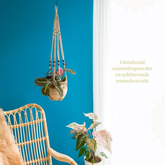 Macramé plantenhanger met gestreepte planten hangt voor een blauwe muur. Naast een rotan stoel en een plant.