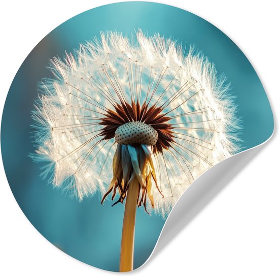 WallCircle® - Behangcirkel 80x80 cm - Muurstickers Paardenbloem - Natuur - Bloemen - Blauw - Muurcirkel woonkamer - Wandcirkel slaapkamer - Kamer decoratie zelfklevend - Muurdecoratie accessoires