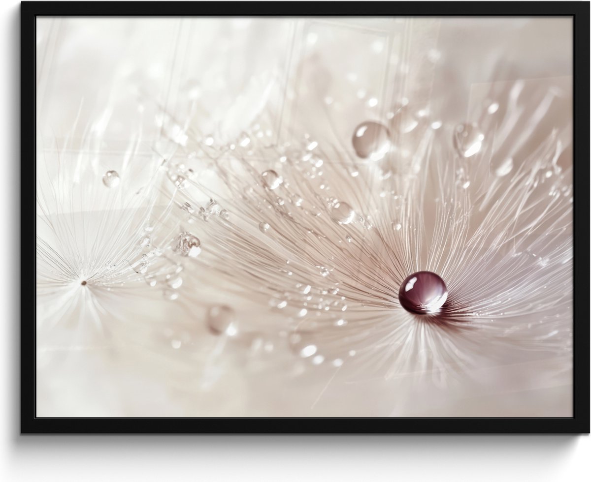 FrameYourWall Poster in lijst - Fotolijst 80x60 cm - Posters - Bloem - Abstract - Wit - Water - Natuur - Posterlijst zwart - Decoratie - Wanddecoratie woonkamer - Muurdecoratie slaapkamer Paardenbloem - Abstract