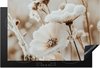 Fleurs - Hiver