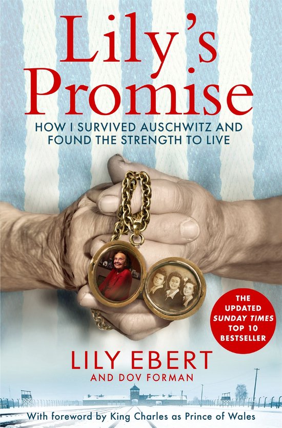 Lily's Promise - cover