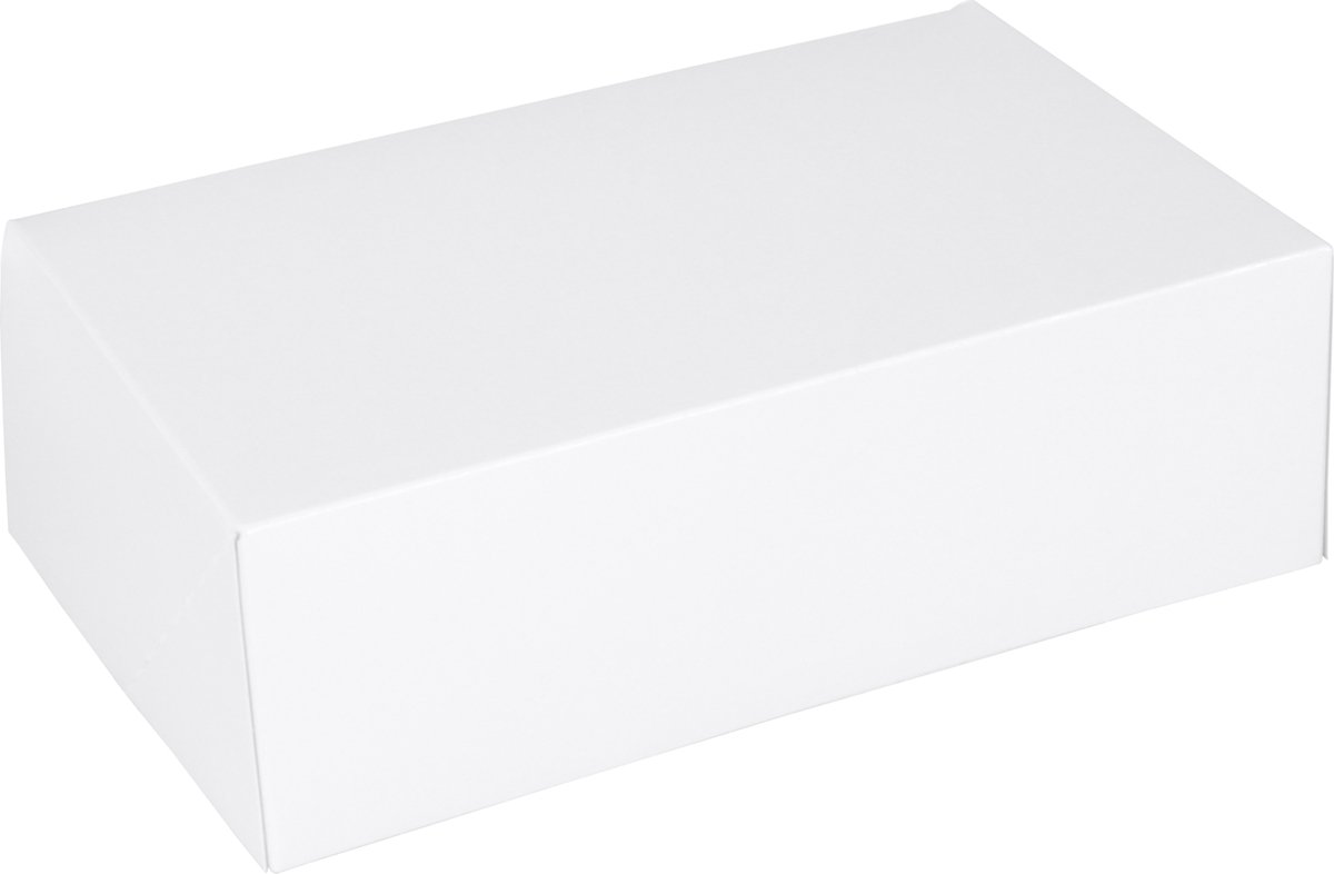 Gebaksdoos | karton | 24x16x8cm | wit | 300 stuks