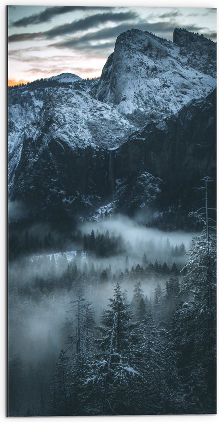 WallClassics - Dibond - Hoge Bergen boven de Bomen uit - 50x100 cm Foto op Aluminium (Met Ophangsysteem)