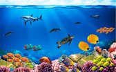 Fotobehangkoning - Behang - Vliesbehang - Fotobehang - Underwater kingdom - Onderwaterwereld - Tropische Vissen diep in de Zee - Aquarium - 350 x 245 cm