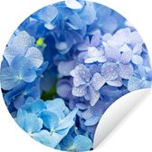 Behangcirkel - Zelfklevend behang - Hortensia - Bloemen - Natuur - Waterdruppel - Blauw - Behangsticker - ⌀ 120 cm - Rond behang - Behangcirkel bloemen