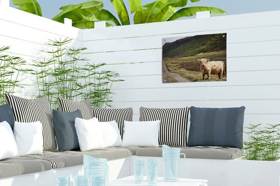 Décoration de Jardin Highlander écossais - Chemin - Forêt - 40x30 cm - Toile de jardin - Poster extérieur