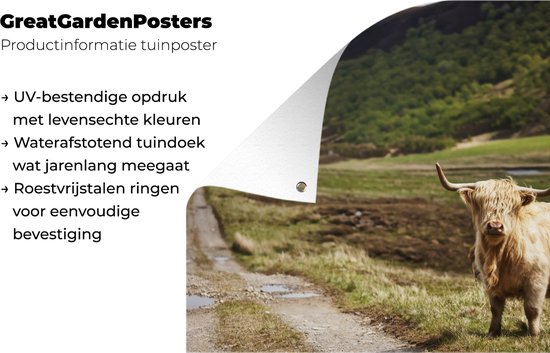 Décoration de Jardin Highlander écossais - Chemin - Forêt - 40x30 cm - Toile de jardin - Poster extérieur