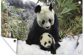 Muurdecoratie Panda - Welp - Sneeuw - 180x120 cm - Tuinposter - Tuindoek - Buitenposter