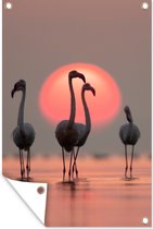 Tuinposter - Tuindoek - Tuinposters buiten - Vogel - Flamingo - Zonsondergang - Roze - 80x120 cm - Tuin