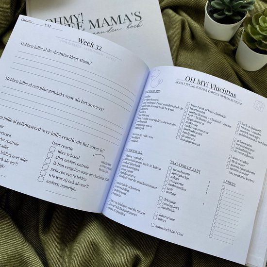 OHMY! – Zwangerschapsdagboek – 2 Mama’s – lesbisch stel - Invulboek – LGBTQ+ – Zwangerschapsherinneringen
