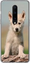 Geschikt voor OnePlus 7 Pro hoesje - Wolf - Kind - Hout - Siliconen Telefoonhoesje