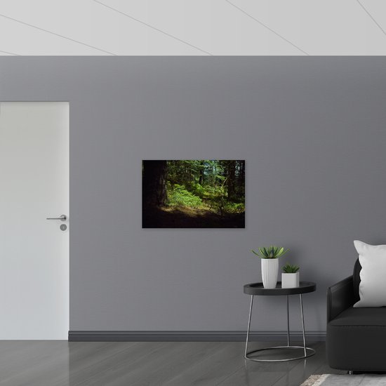 Canvas - Schaduw in het Bos - 90x60 cm Foto op Canvas Schilderij (Wanddecoratie op Canvas)