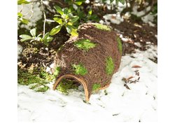 Tuinplus Egelmand - Riet