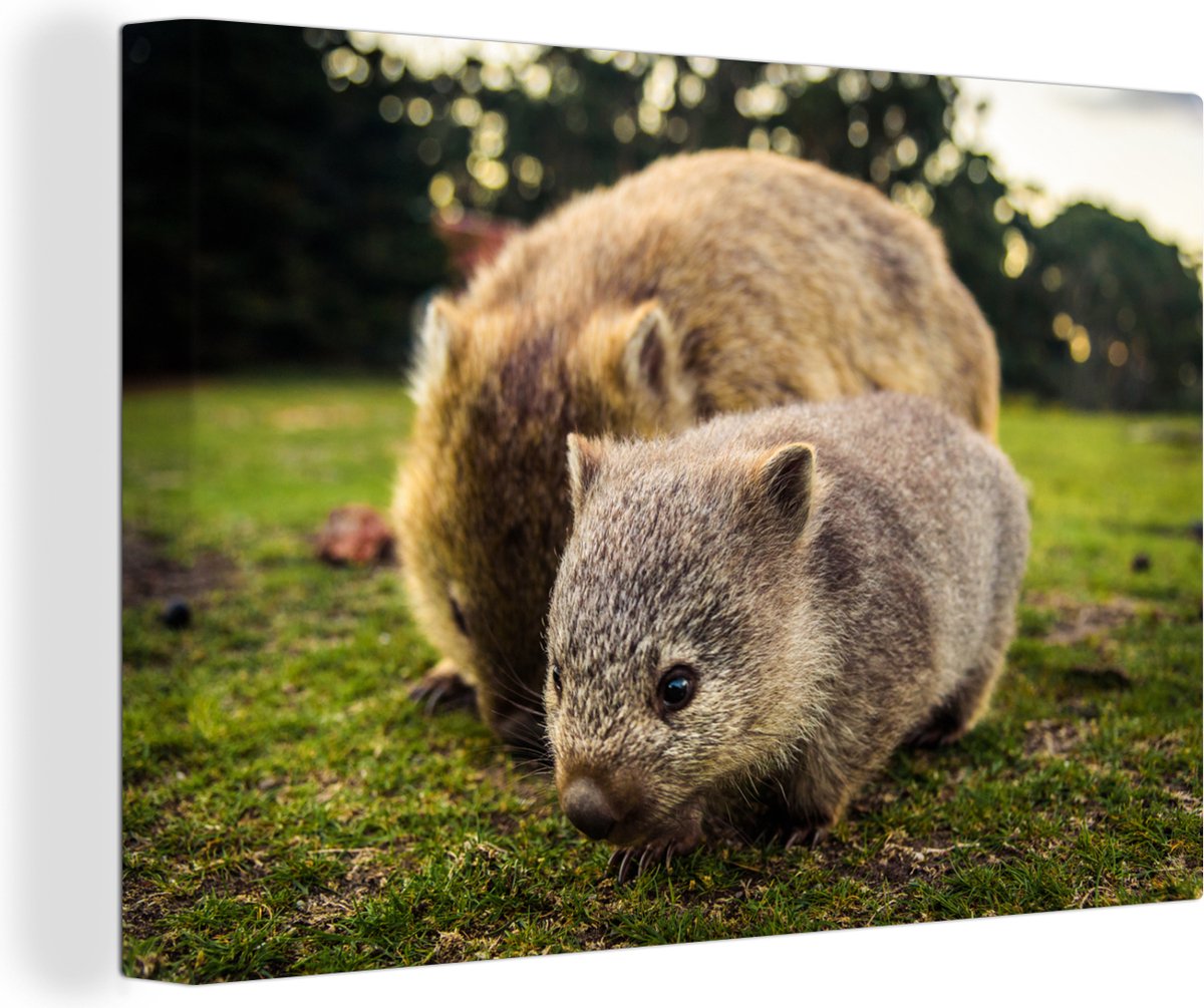 Canvas Schilderij Close-up moederwombat en een baby wombat - 30x20 cm - Wanddecoratie