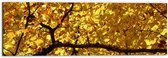 WallClassics - Dibond - Dekbed van Gele Bladeren - 60x20 cm Foto op Aluminium (Wanddecoratie van metaal)