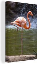 Canvas Schilderij Een flamingo staat in het water - 40x60 cm - Wanddecoratie