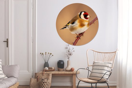 Cercle Mural - Cercle Mural - Chardonneret - Vogel - Animaux - Aluminium - Dibond - 140x140 cm - Intérieur et Extérieur