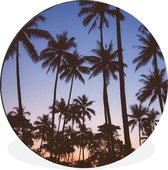WallCircle - Wandcirkel - Muurcirkel - Palmboom - Tropisch - Zomer - Lucht - Aluminium - Dibond - ⌀ 120 cm - Binnen en Buiten XXL