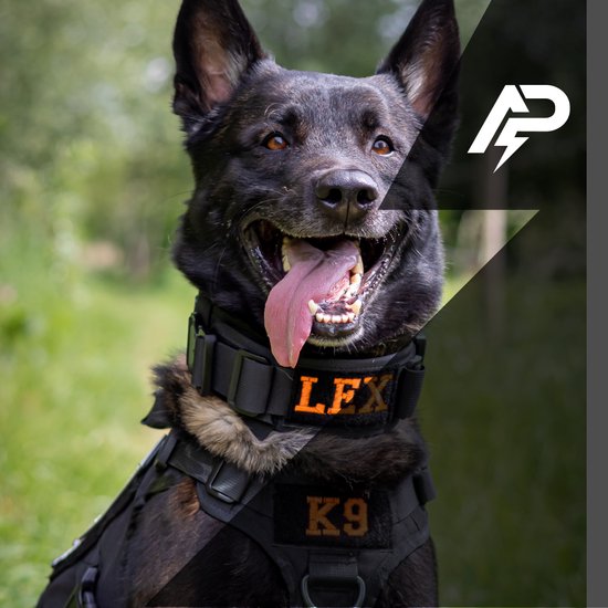 Halsband Gepersonaliseerd eigen naam - Honden halsband Geborduurd - Tactical - Zwart - Hals 45-75 CM