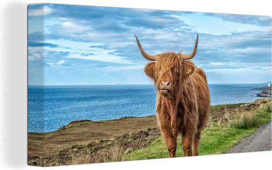 Tableau sur Toile Scottish Highlander - Nuages - Paysage - 80x40 cm - Décoration murale