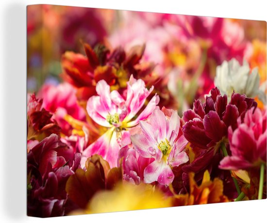 Mutli gekleurde tulpen Canvas 60x40 cm - Foto print op Canvas schilderij (Wanddecoratie)