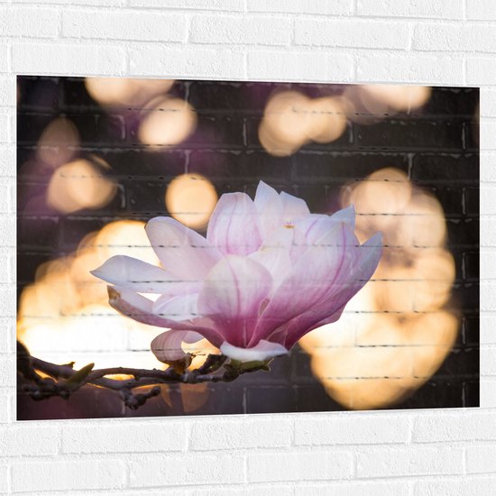 COVPAW® Muursticker Muursticker XXL Geschilderde Pioenroos Bloemen Muurstickers Muurschildering Foto's Woonkamer Slaapkamer Deco