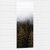 WallClassics - Muursticker - Mist boven Boomtoppen - 40x120 cm Foto op Muursticker