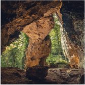 WallClassics - Poster Glossy - Grande Grotte dans la Forêt - 50x50 cm Photo sur Papier Poster avec Finition Brillante