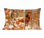 Sierkussen Paarden pour l'intérieur - Cheval sauvage dans la forêt - 60x40 cm - coussin intérieur rectangulaire en coton