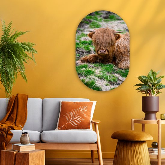 Ovale mural - Décoration murale en plastique - Peinture ovale - Highlander écossais - Foin - Herbe - 60x90 cm - Forme miroir ovale sur plastique