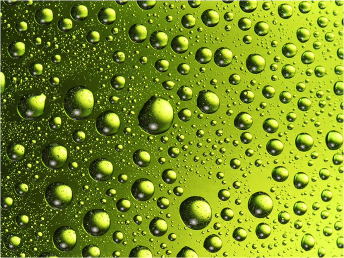 Fotobehang - Water druppels op de fles bier.