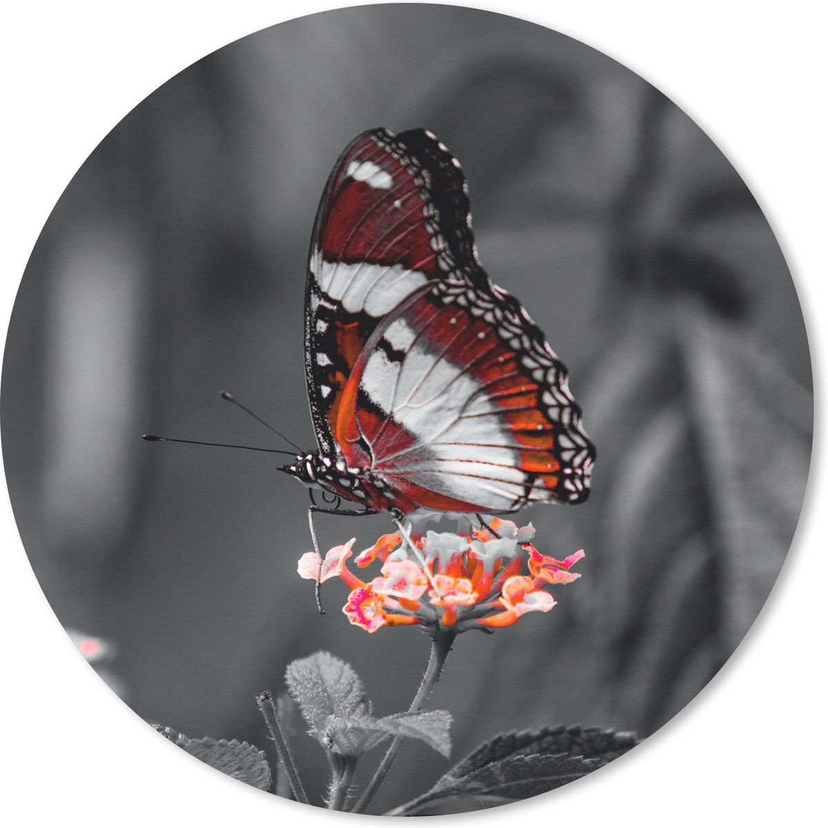 Muismat - Mousepad - Rond - Vlinder - Dieren - Bloemen - Zwart wit - Oranje - 40x40 cm - Ronde muismat