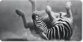 Bureauonderlegger - Zebra - Dieren - Zwart - Wit - 60x30 - Muismat